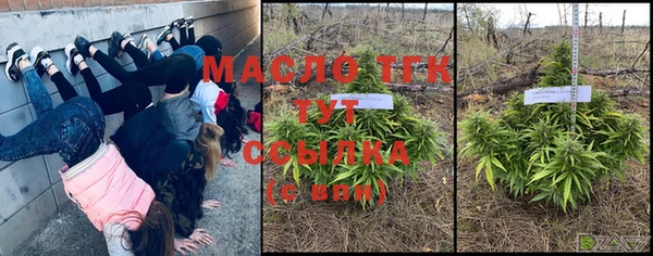 прущая мука Вяземский