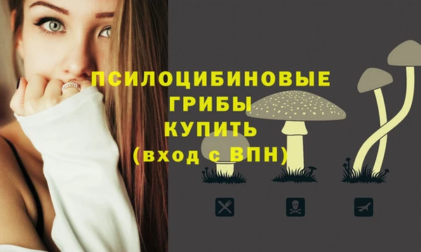 прущая мука Вяземский