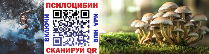 Псилоцибиновые грибы GOLDEN TEACHER  Таганрог 