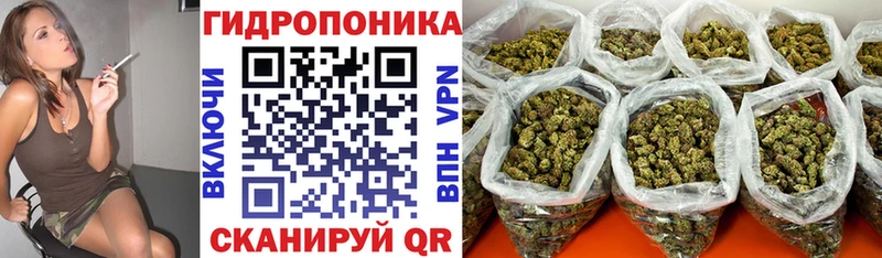 наркотики  Таганрог  Бошки Шишки MAZAR 